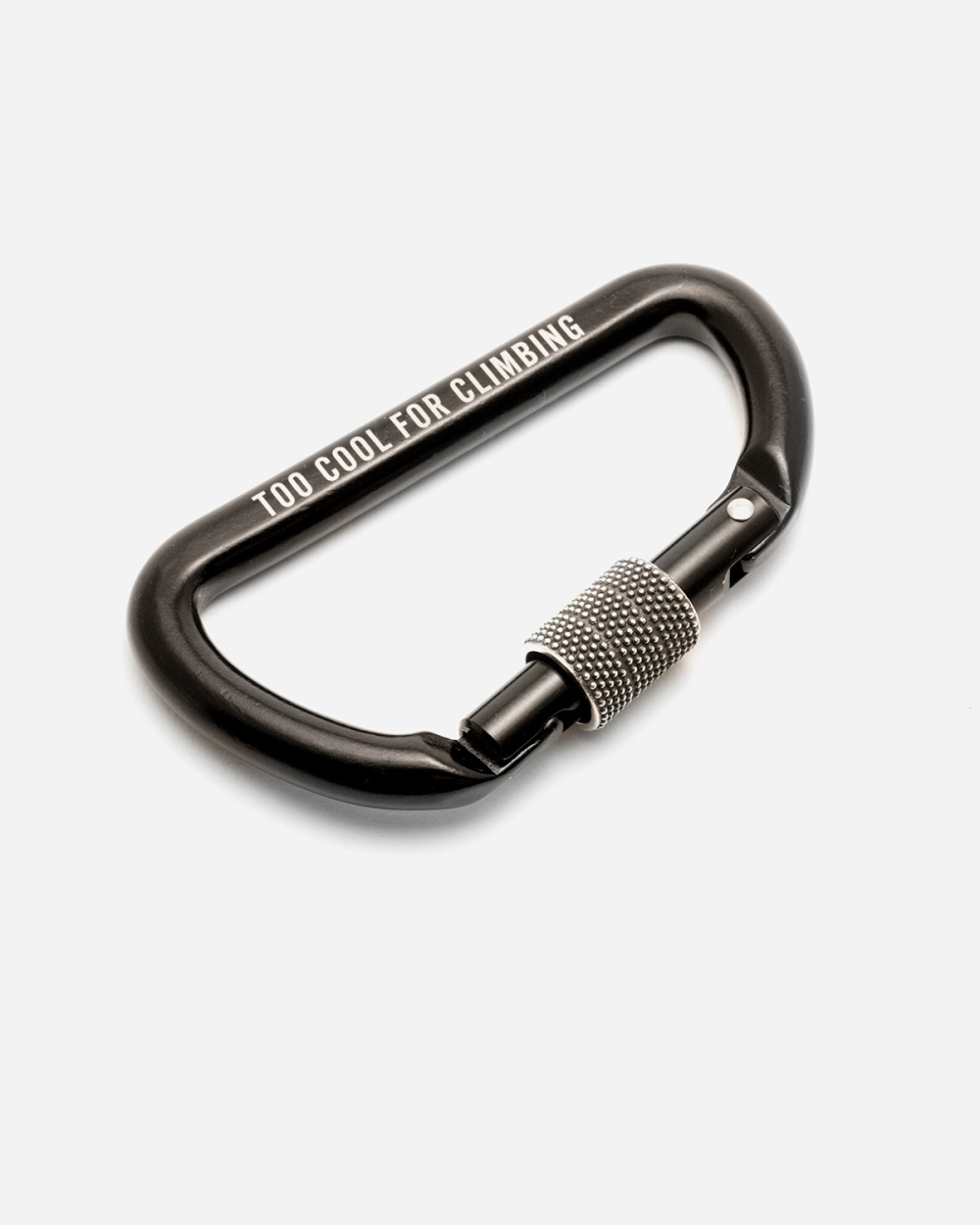 Carabiner on sale clip keychain