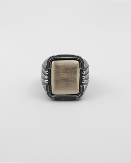 CHEVALIER RAGGI NATIVE BRONZO