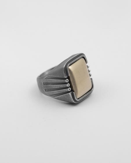 CHEVALIER RAGGI NATIVE BRONZO