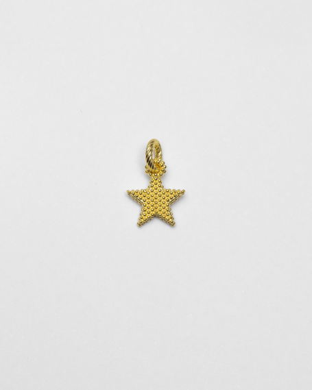 DOTTED STAR CHARM PENDANT /...