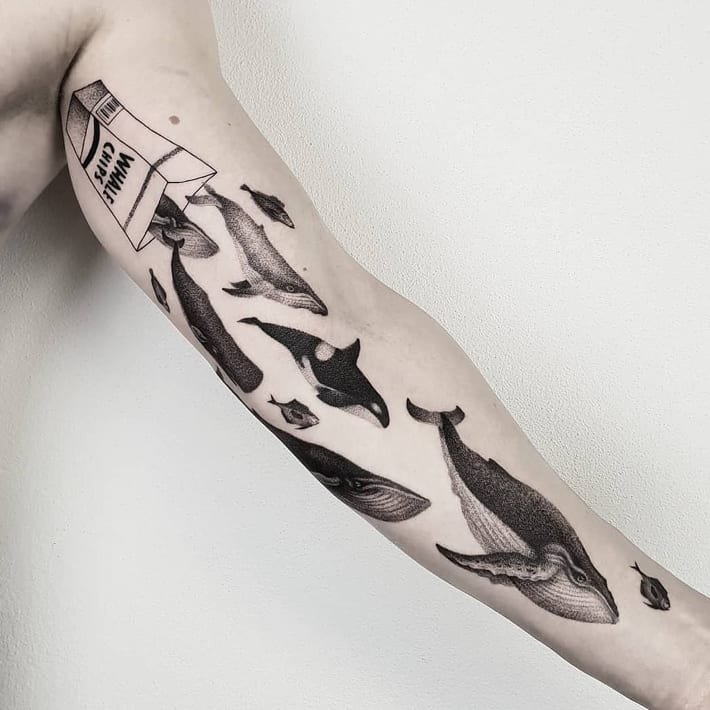 Aggregate more than 72 beluga whale tattoo latest - esthdonghoadian